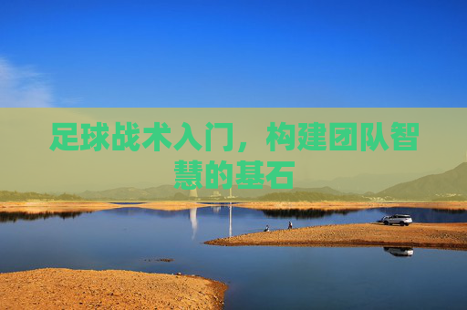 足球战术入门，构建团队智慧的基石