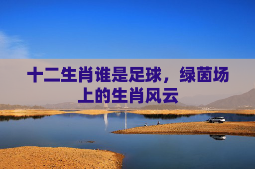 十二生肖谁是足球,绿茵场上的生肖风云