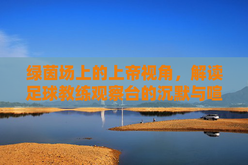 绿茵场上的上帝视角，解读足球教练观察台的沉默与喧嚣