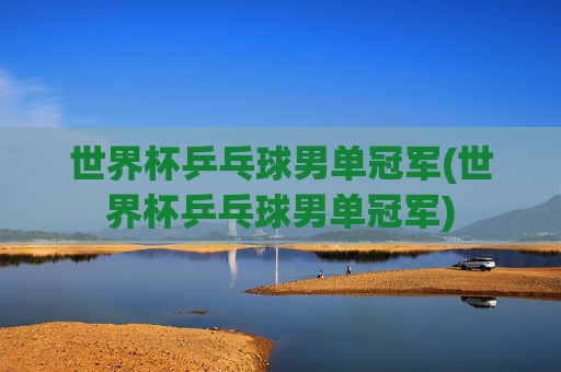 世界杯乒乓球男单冠军(世界杯乒乓球男单冠军)