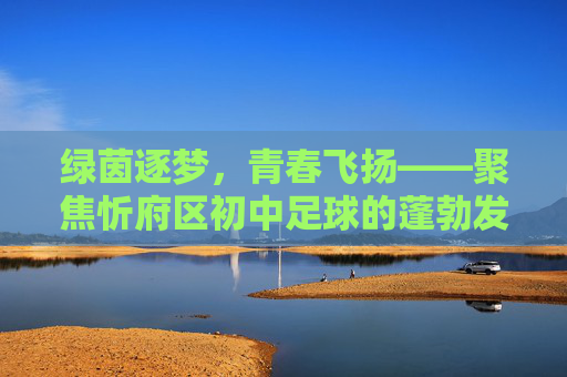 绿茵逐梦，青春飞扬——聚焦忻府区初中足球的蓬勃发展