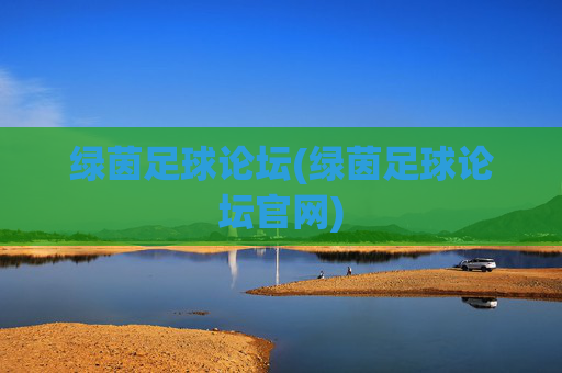 绿茵足球论坛(绿茵足球论坛官网)