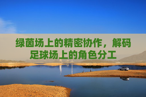 绿茵场上的精密协作,解码足球场上的角色分工