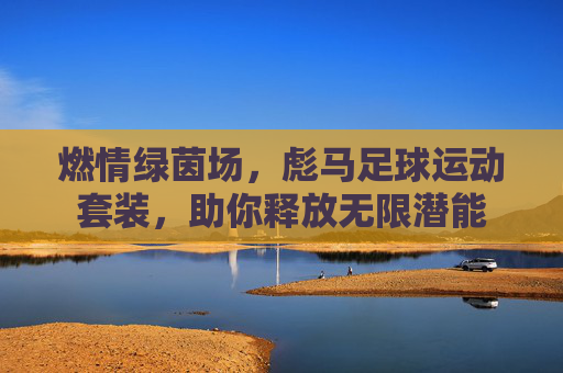 燃情绿茵场,彪马足球运动套装,助你释放无限潜能