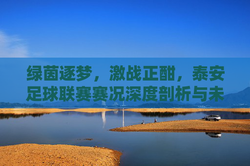 绿茵逐梦，激战正酣，泰安足球联赛赛况深度剖析与未来展望
