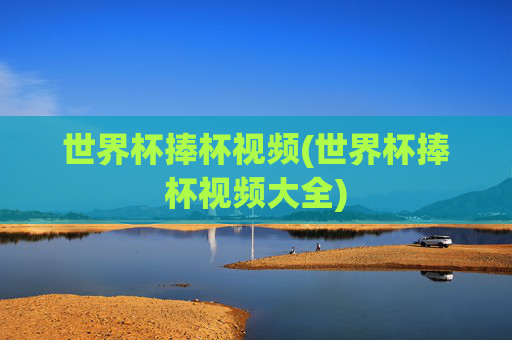 世界杯捧杯视频(世界杯捧杯视频大全)
