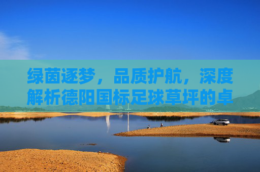 绿茵逐梦，品质护航，深度解析德阳国标足球草坪的卓越之道