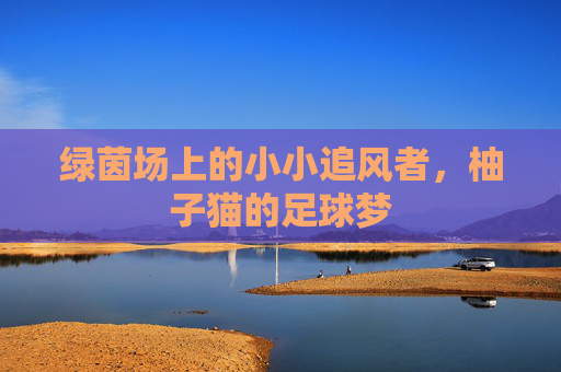 绿茵场上的小小追风者,柚子猫的足球梦