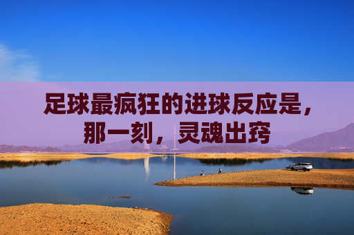 足球最疯狂的进球反应是，那一刻，灵魂出窍
