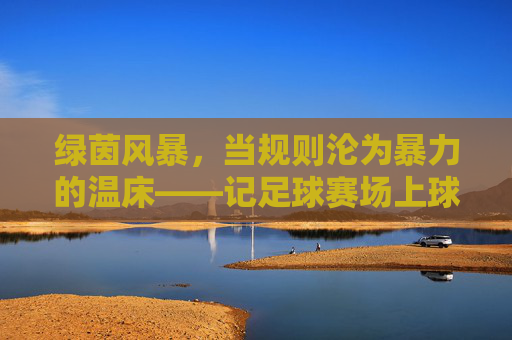 绿茵风暴，当规则沦为暴力的温床——记足球赛场上球员追打裁判的悲剧时刻