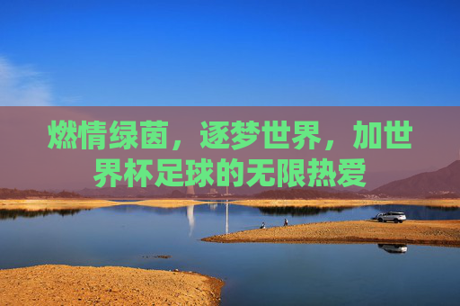 燃情绿茵，逐梦世界，加世界杯足球的无限热爱