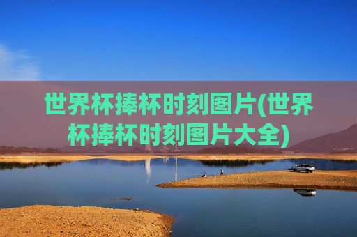 世界杯捧杯时刻图片(世界杯捧杯时刻图片大全)