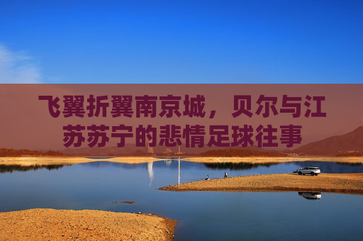 飞翼折翼南京城,贝尔与江苏苏宁的悲情足球往事