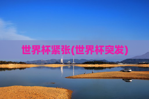 世界杯紧张(世界杯突发)