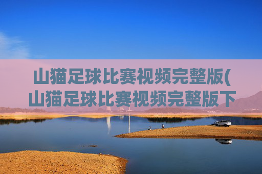 山猫足球比赛视频完整版(山猫足球比赛视频完整版下载)