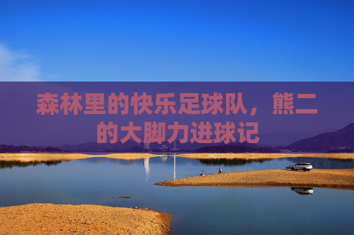 森林里的快乐足球队,熊二的大脚力进球记
