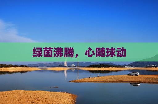 绿茵沸腾，心随球动