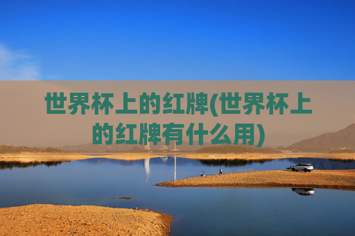 世界杯上的红牌(世界杯上的红牌有什么用)