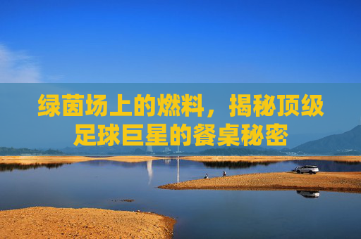 绿茵场上的燃料，揭秘顶级足球巨星的餐桌秘密