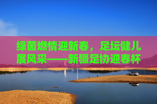 绿茵燃情迎新春,足坛健儿展风采——新疆足协迎春杯足球赛侧记
