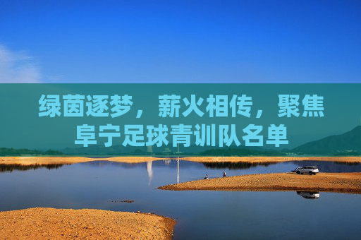 绿茵逐梦,薪火相传,聚焦阜宁足球青训队名单