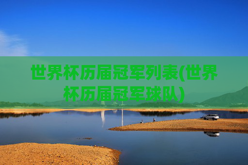世界杯历届冠军列表(世界杯历届冠军球队)