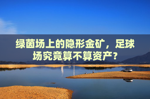 绿茵场上的隐形金矿,足球场究竟算不算资产?