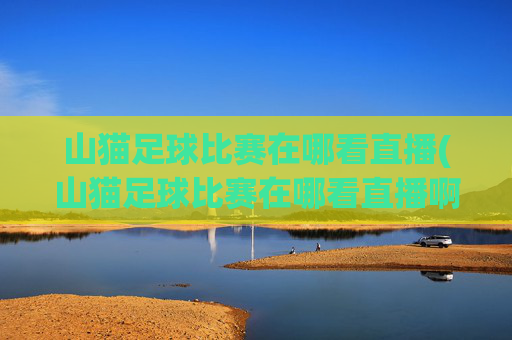 山猫足球比赛在哪看直播(山猫足球比赛在哪看直播啊)