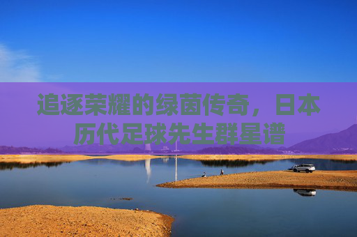 追逐荣耀的绿茵传奇，日本历代足球先生群星谱