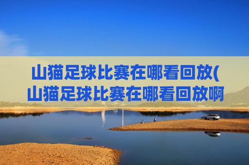 山猫足球比赛在哪看回放(山猫足球比赛在哪看回放啊)