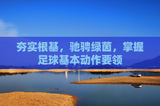 夯实根基,驰骋绿茵,掌握足球基本动作要领