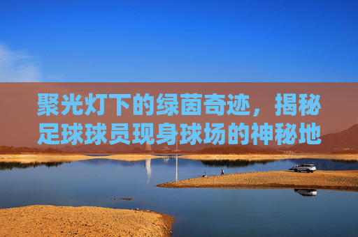 聚光灯下的绿茵奇迹，揭秘足球球员现身球场的神秘地点