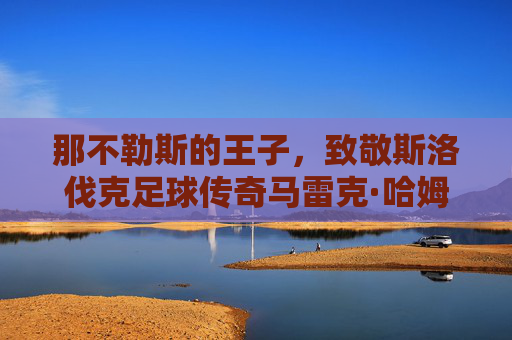 那不勒斯的王子，致敬斯洛伐克足球传奇马雷克·哈姆西克