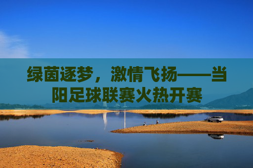 绿茵逐梦，激情飞扬——当阳足球联赛火热开赛