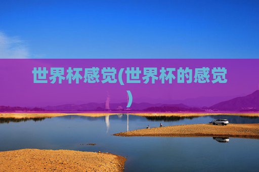 世界杯感觉(世界杯的感觉)