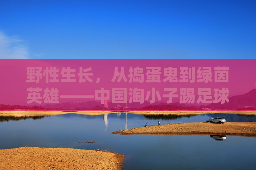 野性生长，从捣蛋鬼到绿茵英雄——中国淘小子踢足球的逆袭之路