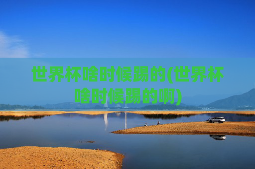 世界杯啥时候踢的(世界杯啥时候踢的啊)