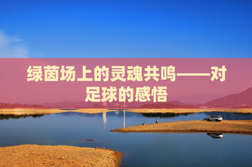 绿茵场上的灵魂共鸣——对足球的感悟