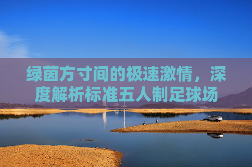 绿茵方寸间的极速激情，深度解析标准五人制足球场