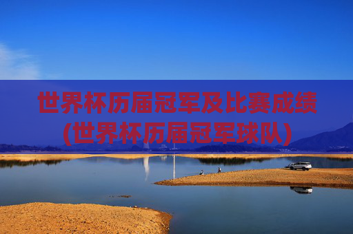 世界杯历届冠军及比赛成绩(世界杯历届冠军球队)