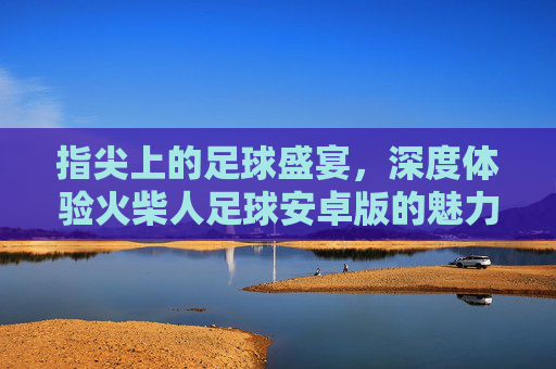 指尖上的足球盛宴,深度体验火柴人足球安卓版的魅力