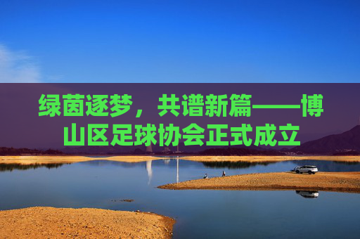 绿茵逐梦,共谱新篇——博山区足球协会正式成立