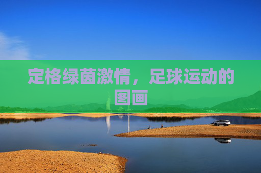 定格绿茵激情,足球运动的图画