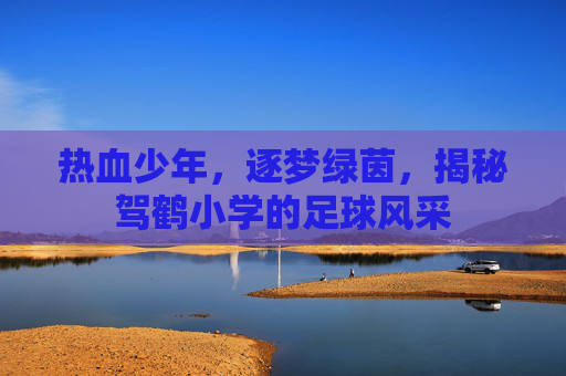 热血少年,逐梦绿茵,揭秘驾鹤小学的足球风采