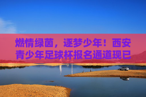 燃情绿茵,逐梦少年!西安青少年足球杯报名通道现已全面开启