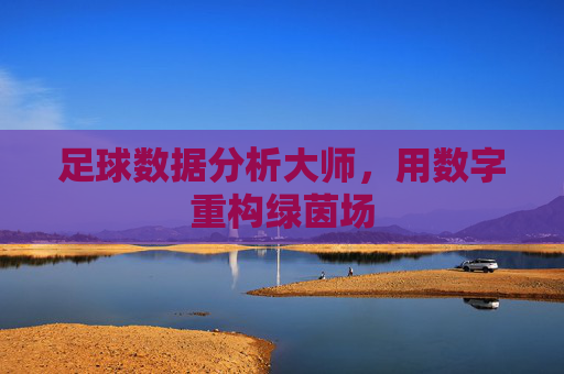 足球数据分析大师,用数字重构绿茵场