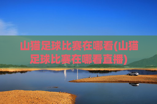山猫足球比赛在哪看(山猫足球比赛在哪看直播)