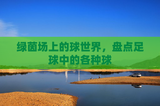 绿茵场上的球世界,盘点足球中的各种球