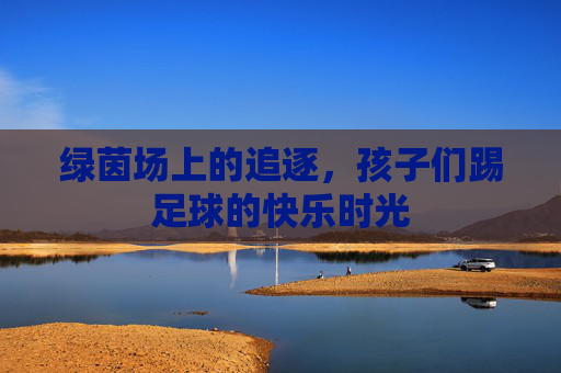 绿茵场上的追逐,孩子们踢足球的快乐时光