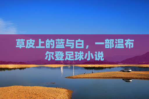 草皮上的蓝与白，一部温布尔登足球小说